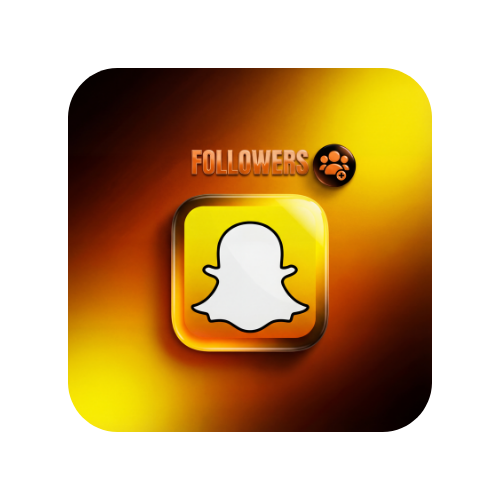 Snapchat Followers